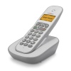 Телефон TEXET TX-D4505A белый серый 