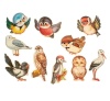 Комплект украшений "Веселые птички" на скотче, 10 видов, 12 х 12 см 