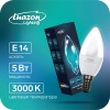 Лампа светодиодная Luazon Lighting, C37, 5 Вт, E14, 450 Лм, 3000 K, теплый белый  в Тюмени