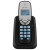 Телефон Texet TX-D6905A черный
