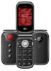 Сотовый телефон BQM-2451 Daze Black в Тюмени
