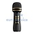 Караоке Микрофон WSTER WS-898  черный (с встроенной колонкой) в Тюмени
